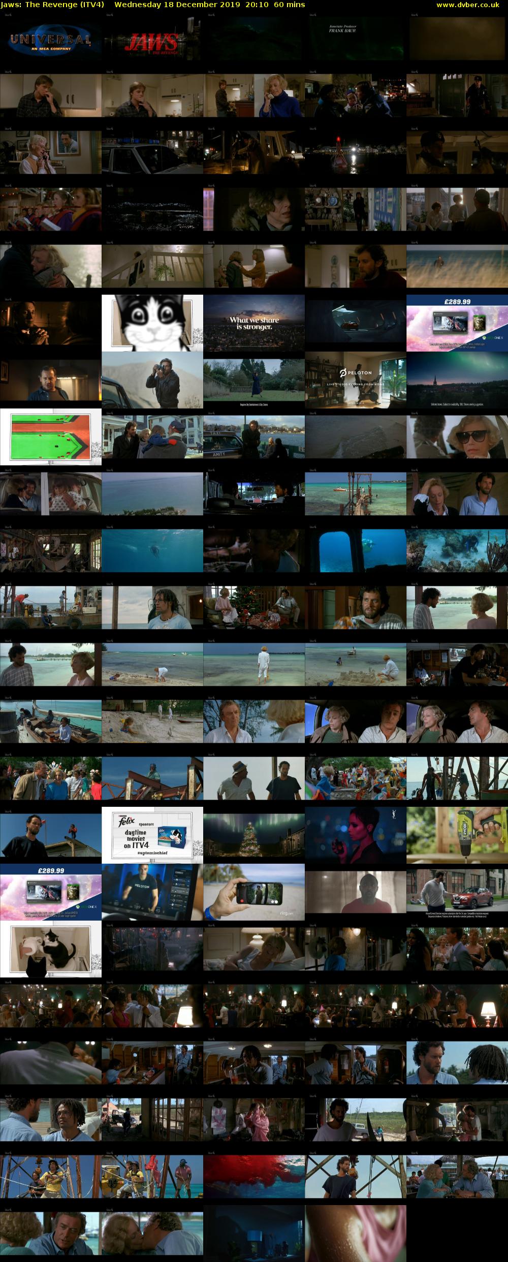 Jaws: The Revenge (ITV4) Wednesday 18 December 2019 20:10 - 21:10