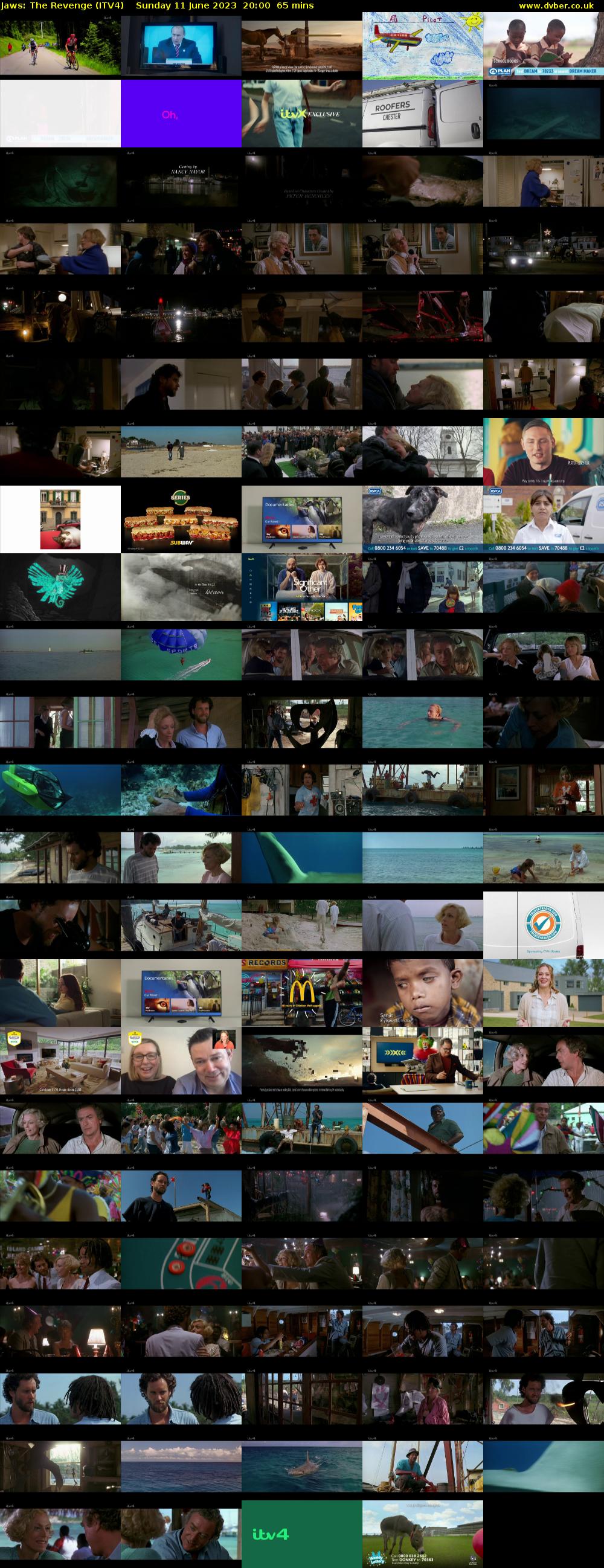Jaws: The Revenge (ITV4) Sunday 11 June 2023 20:00 - 21:05