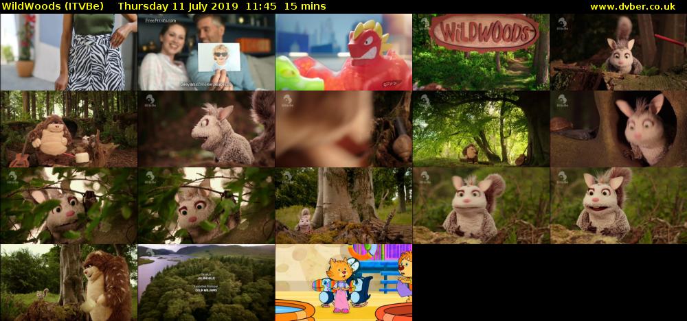 WildWoods (ITVBe) Thursday 11 July 2019 11:45 - 12:00