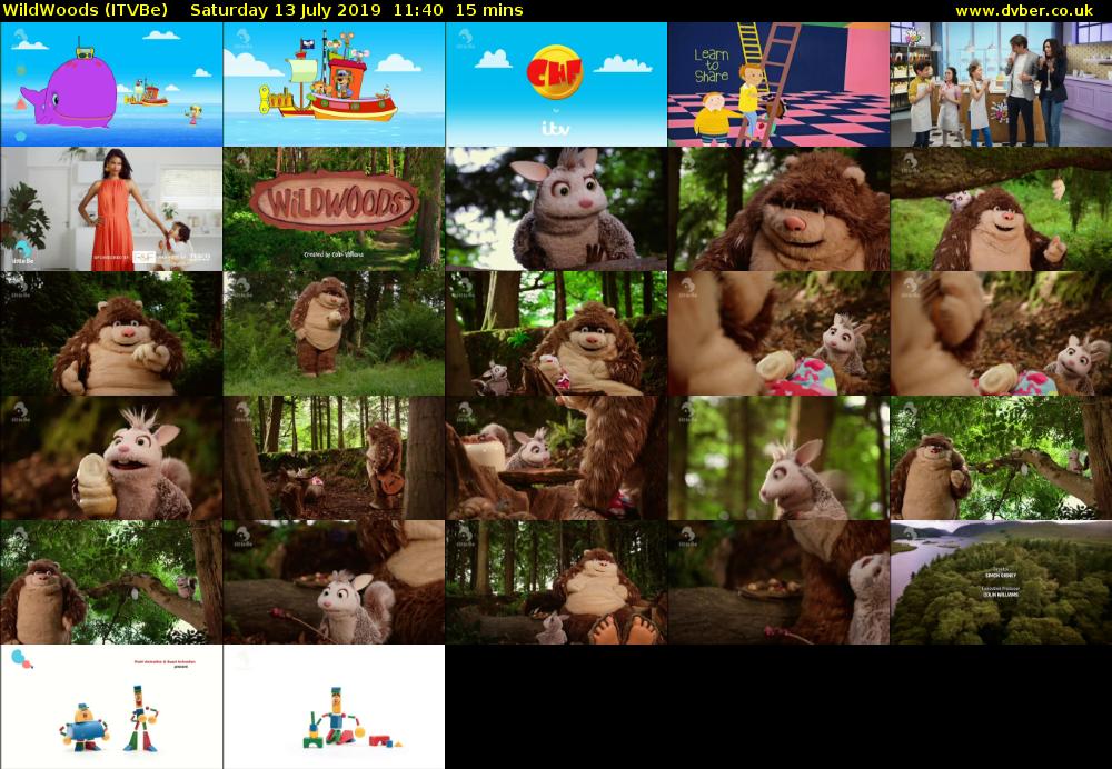 WildWoods (ITVBe) Saturday 13 July 2019 11:40 - 11:55