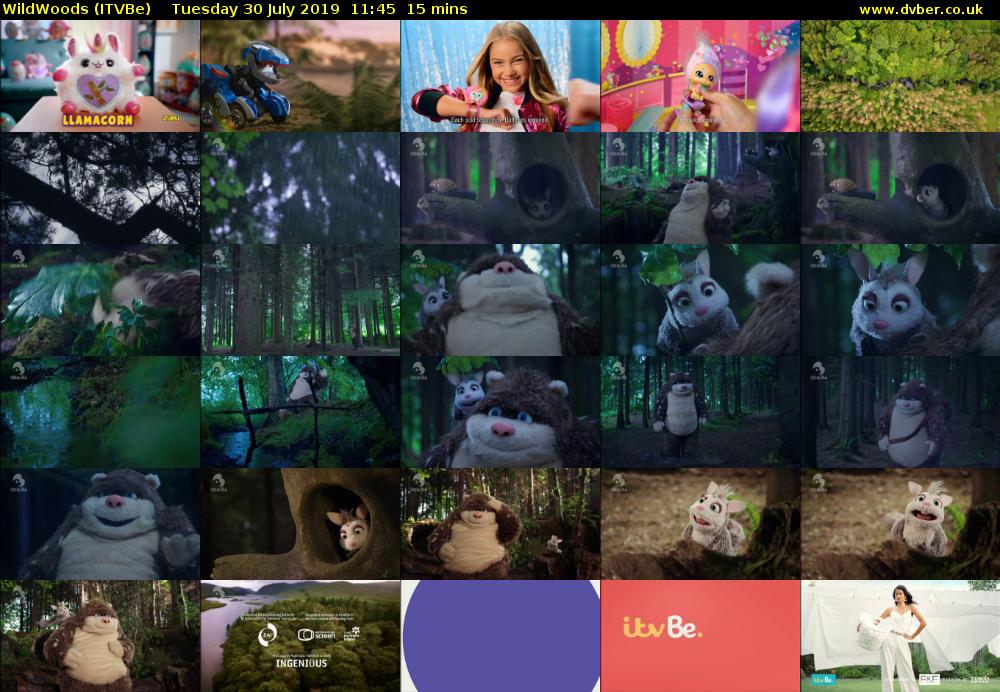 WildWoods (ITVBe) Tuesday 30 July 2019 11:45 - 12:00