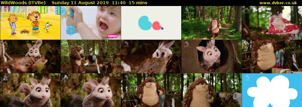 WildWoods (ITVBe) Sunday 11 August 2019 11:40 - 11:55