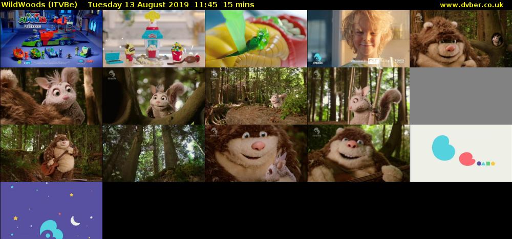 WildWoods (ITVBe) Tuesday 13 August 2019 11:45 - 12:00