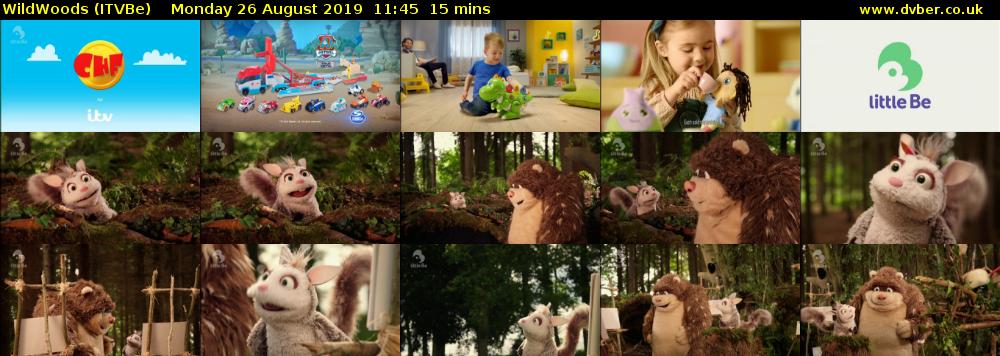 WildWoods (ITVBe) Monday 26 August 2019 11:45 - 12:00