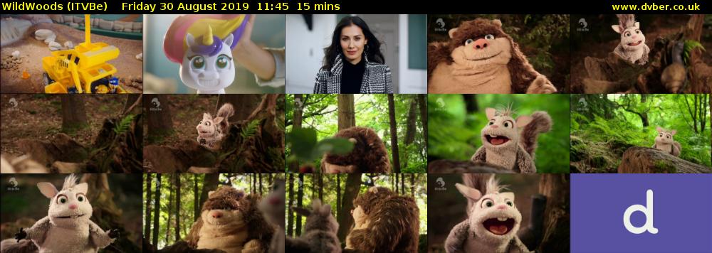 WildWoods (ITVBe) Friday 30 August 2019 11:45 - 12:00