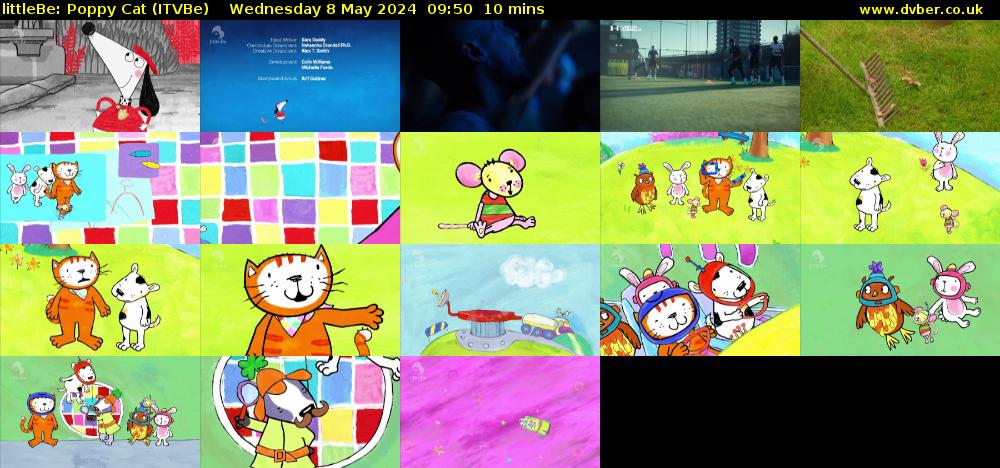 littleBe: Poppy Cat (ITVBe) Wednesday 8 May 2024 09:50 - 10:00
