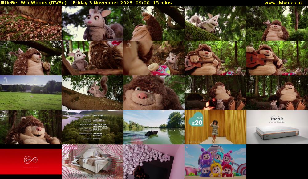littleBe: WildWoods (ITVBe) Friday 3 November 2023 09:00 - 09:15