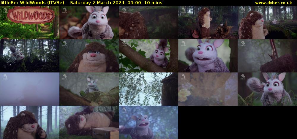 littleBe: WildWoods (ITVBe) Saturday 2 March 2024 09:00 - 09:10