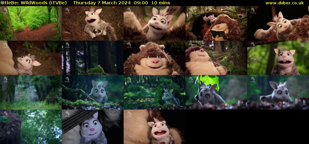 littleBe: WildWoods (ITVBe) Thursday 7 March 2024 09:00 - 09:10