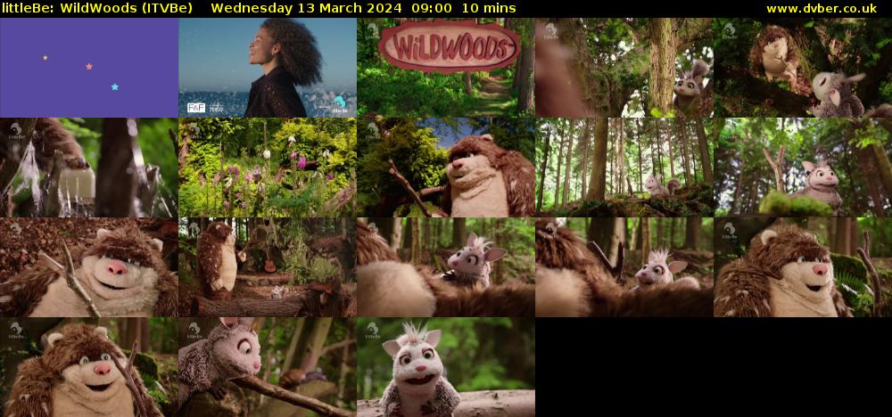 littleBe: WildWoods (ITVBe) Wednesday 13 March 2024 09:00 - 09:10
