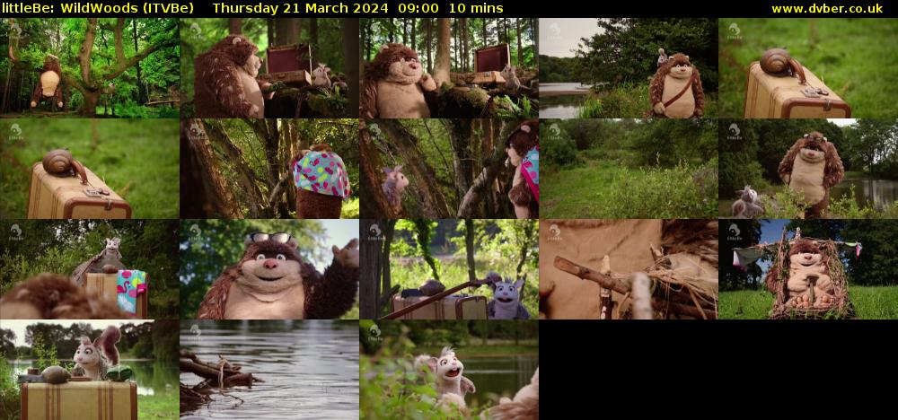 littleBe: WildWoods (ITVBe) Thursday 21 March 2024 09:00 - 09:10