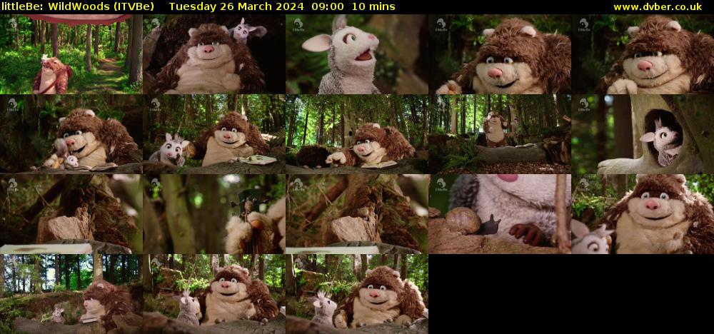 littleBe: WildWoods (ITVBe) Tuesday 26 March 2024 09:00 - 09:10