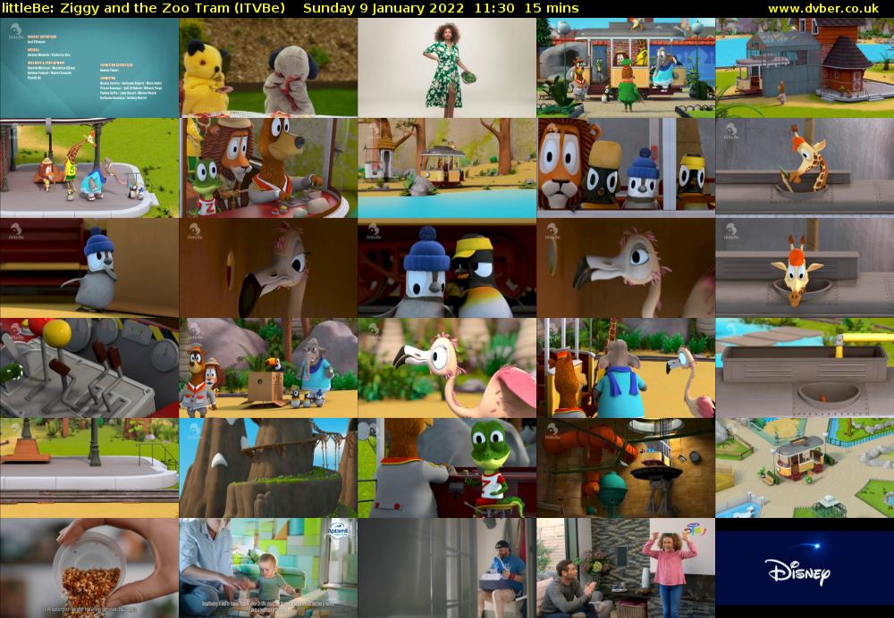 littleBe: Ziggy and the Zoo Tram (ITVBe) Sunday 9 January 2022 11:30 - 11:45