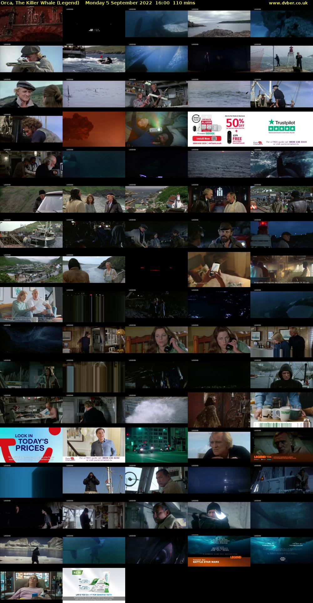 Orca, The Killer Whale (Legend) Monday 5 September 2022 16:00 - 17:50