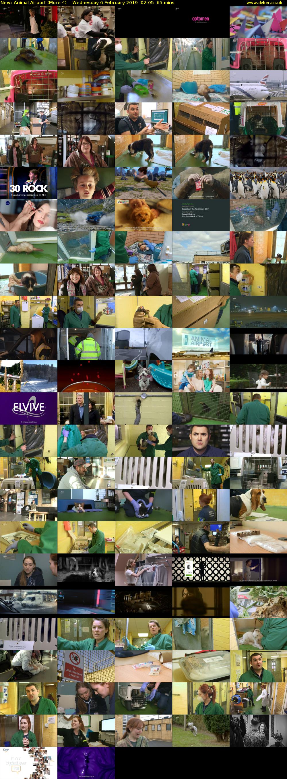 Animal Airport (More 4) Wednesday 6 February 2019 02:05 - 03:10