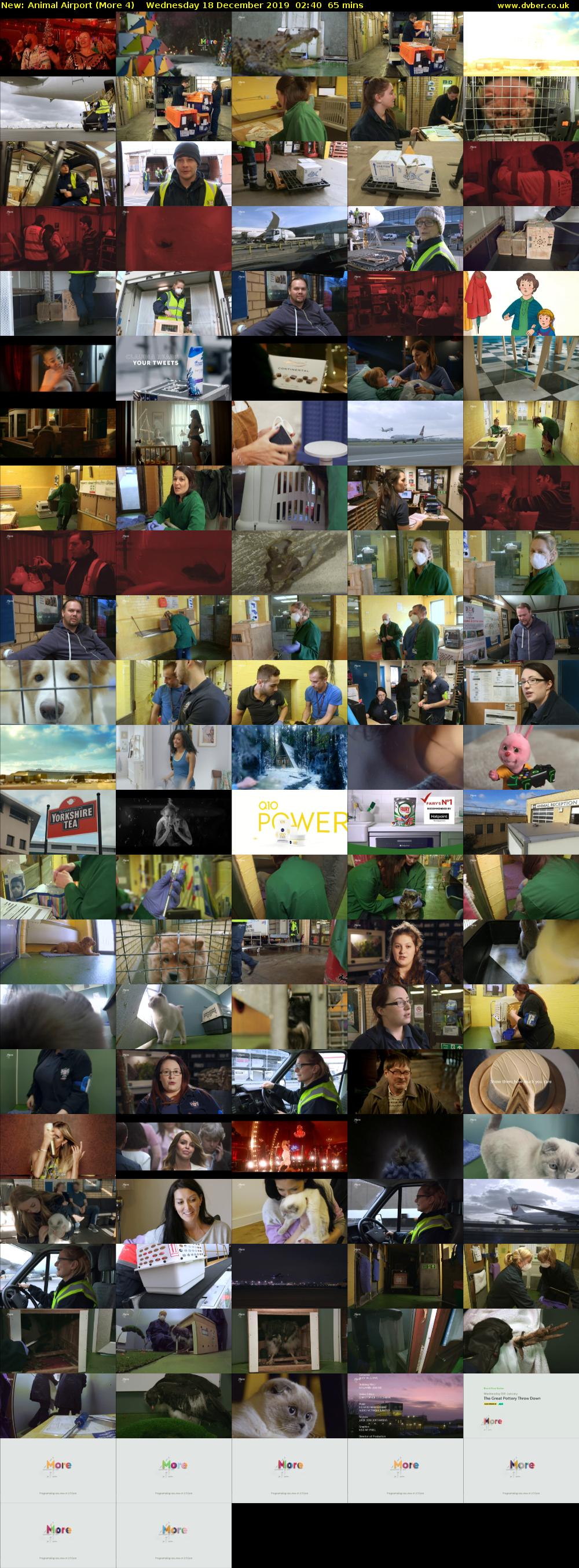 Animal Airport (More 4) Wednesday 18 December 2019 02:40 - 03:45