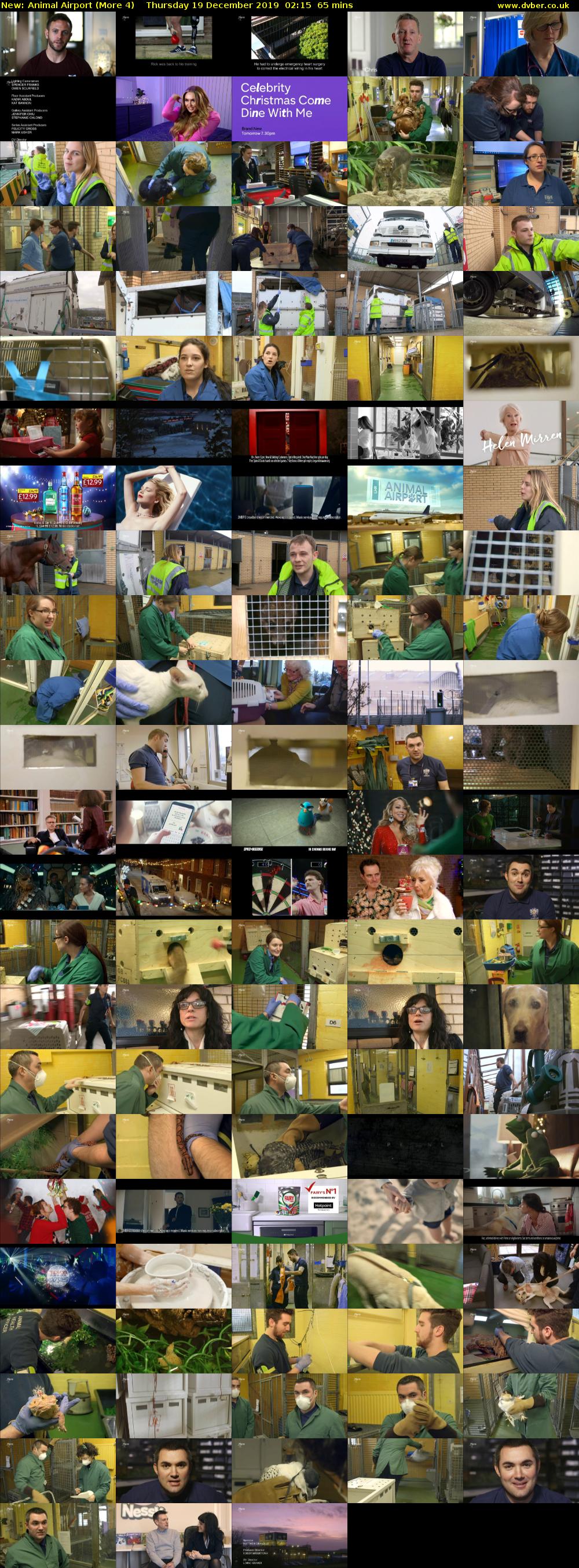 Animal Airport (More 4) Thursday 19 December 2019 02:15 - 03:20