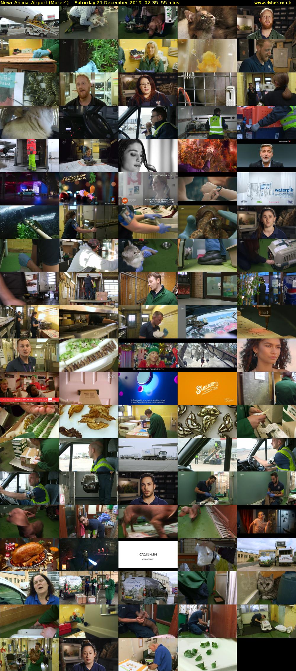Animal Airport (More 4) Saturday 21 December 2019 02:35 - 03:30