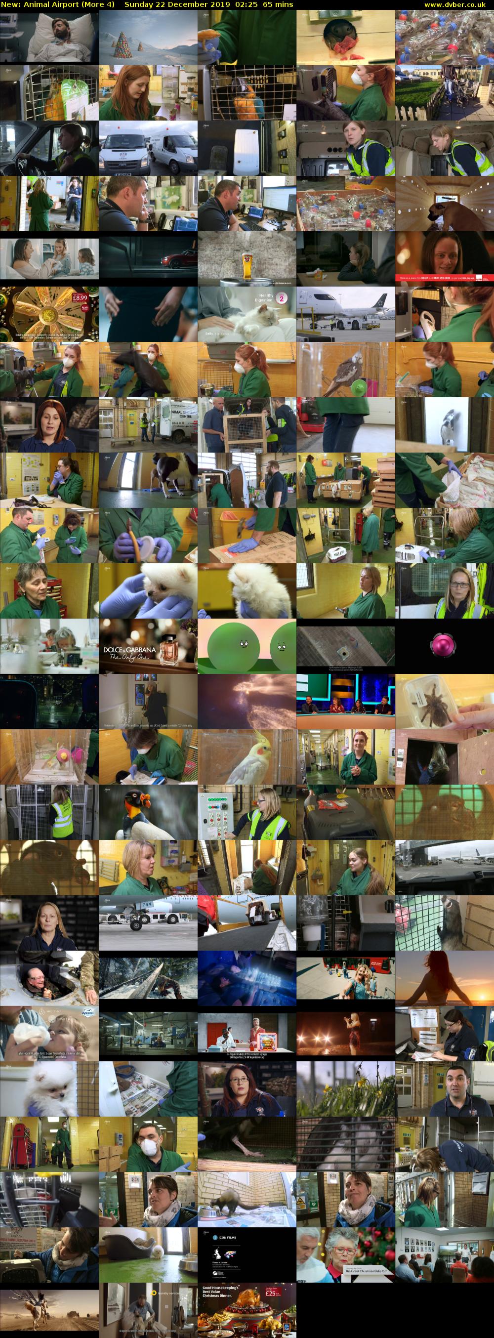 Animal Airport (More 4) Sunday 22 December 2019 02:25 - 03:30