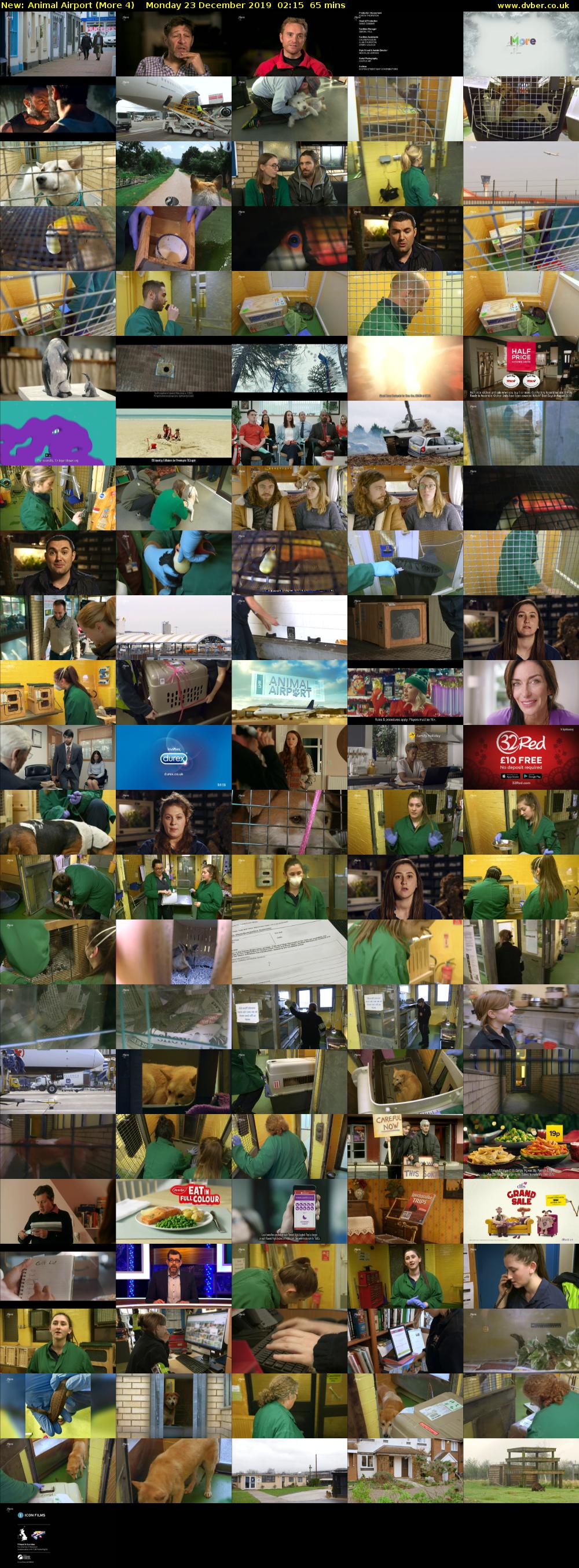 Animal Airport (More 4) Monday 23 December 2019 02:15 - 03:20