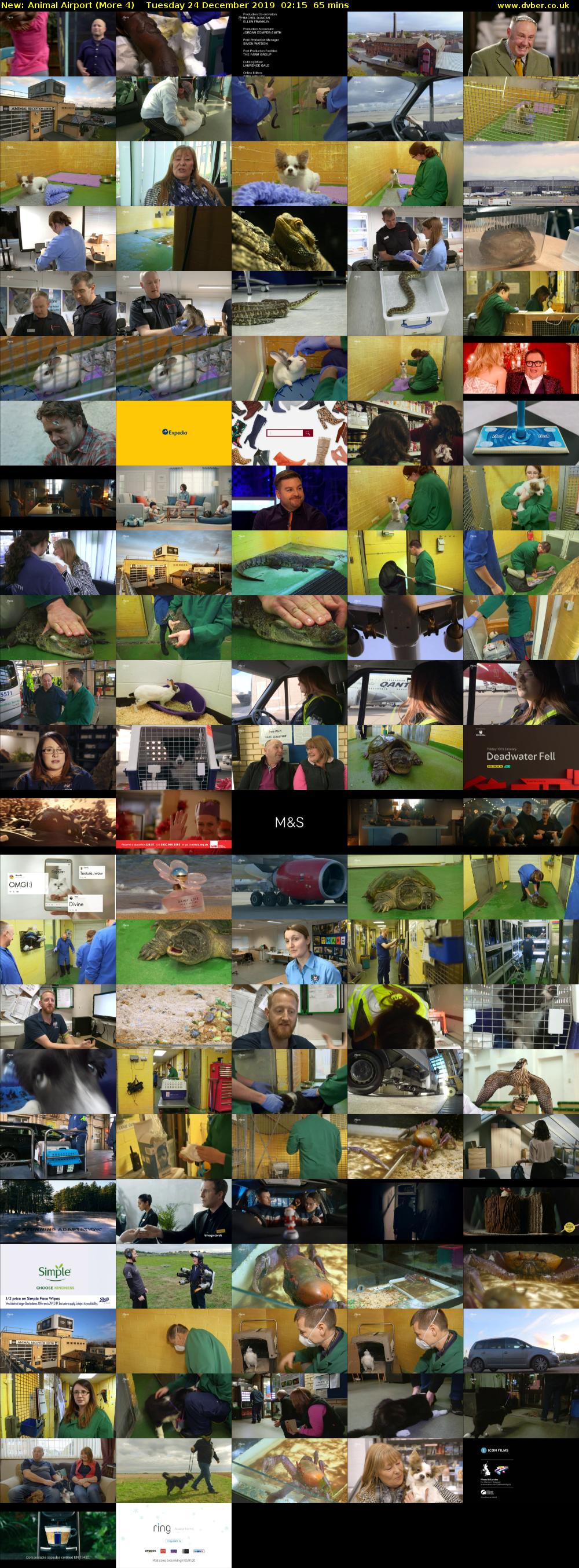 Animal Airport (More 4) Tuesday 24 December 2019 02:15 - 03:20