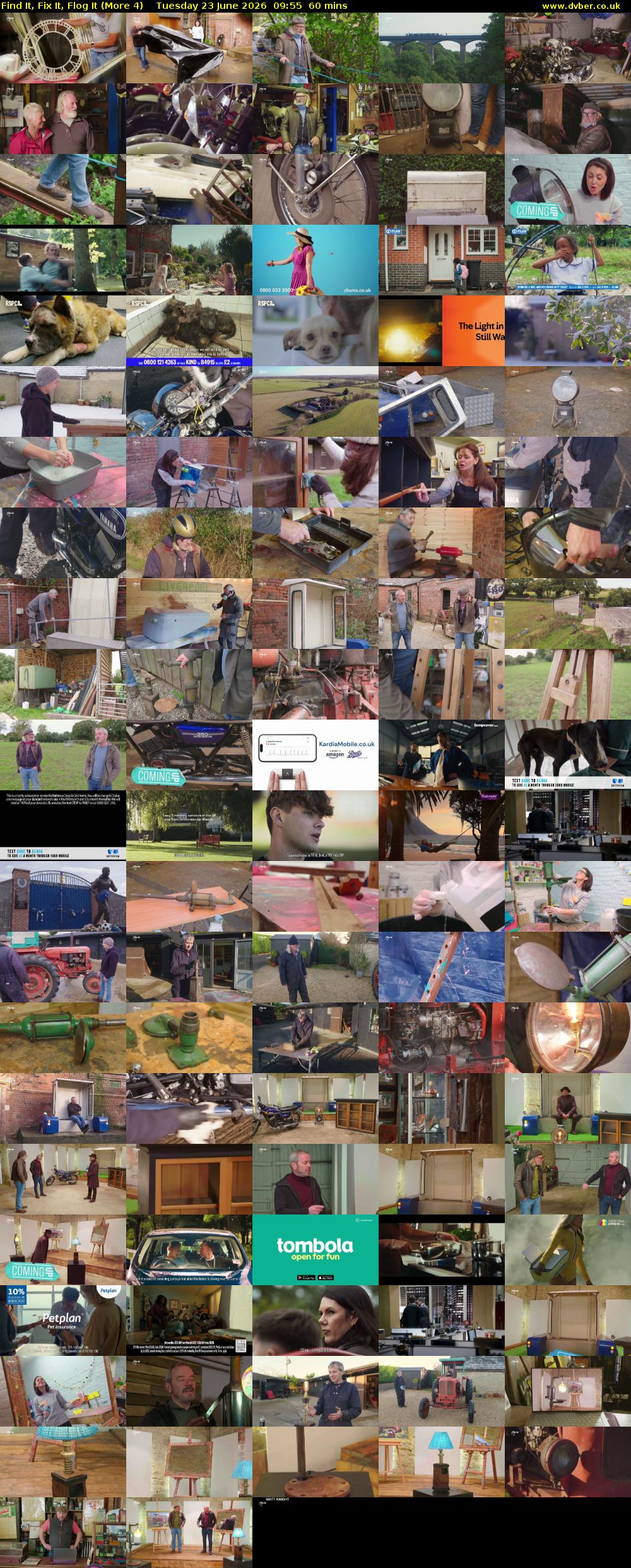 Find It, Fix It, Flog It (More 4) Tuesday 23 June 2026 09:55 - 10:55