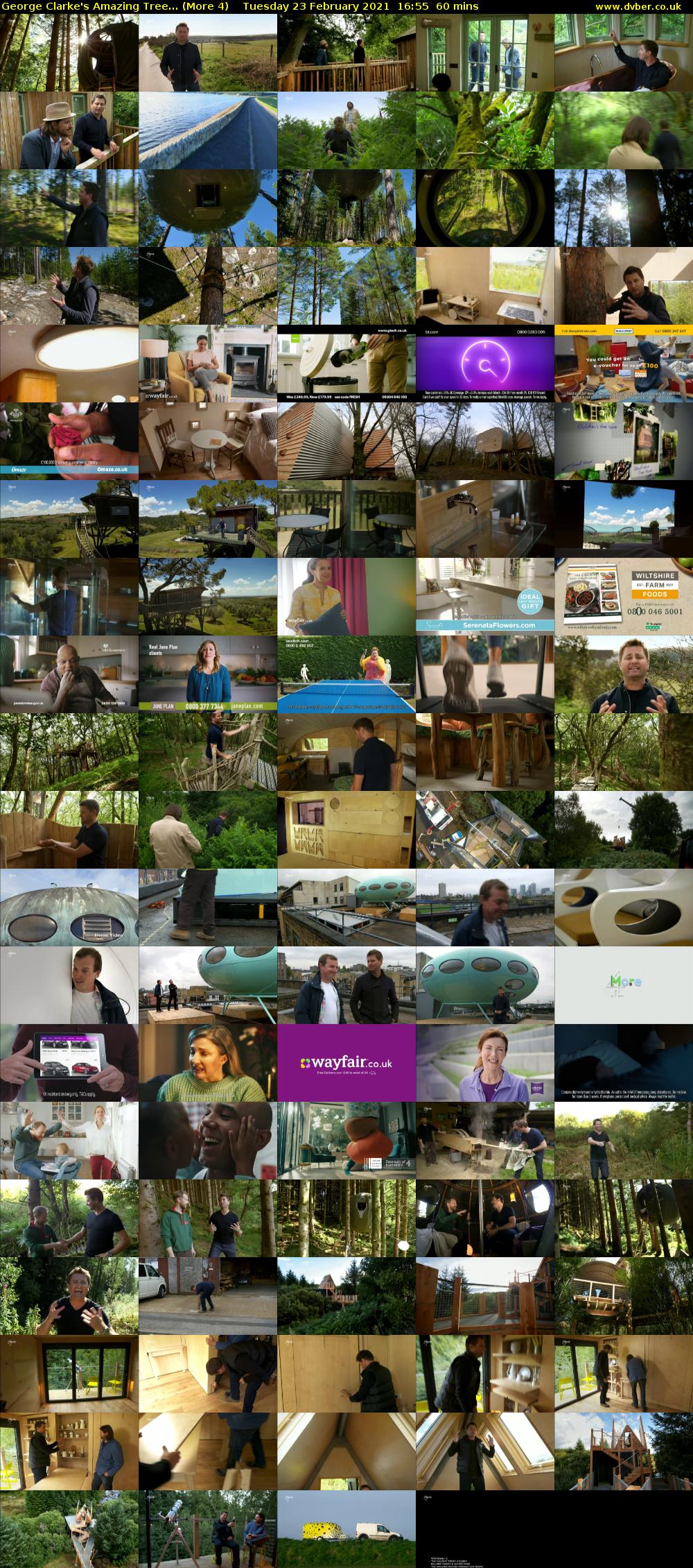 George Clarke's Amazing Tree... (More 4) Tuesday 23 February 2021 16:55 - 17:55