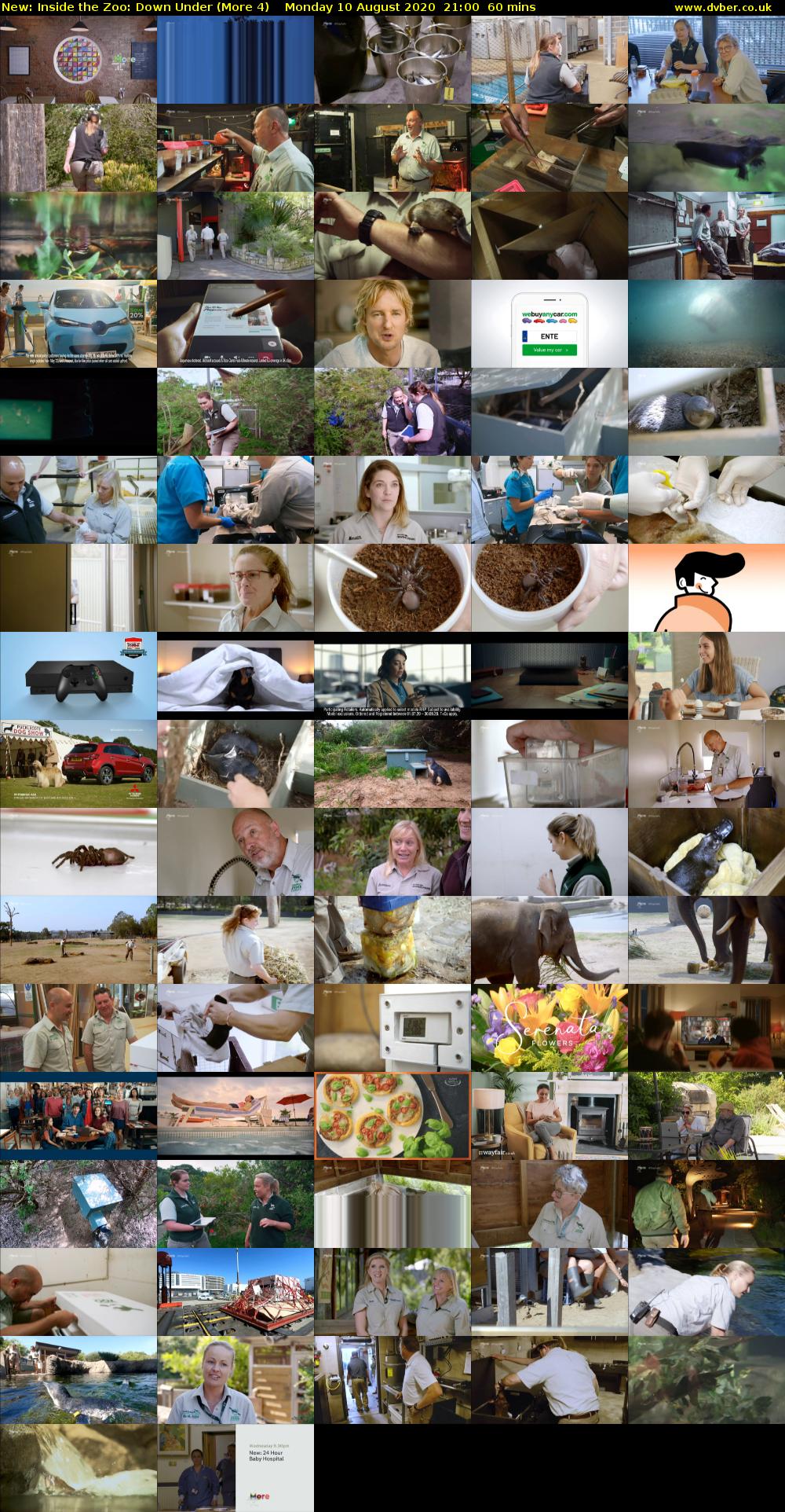 Inside the Zoo: Down Under (More 4) Monday 10 August 2020 21:00 - 22:00