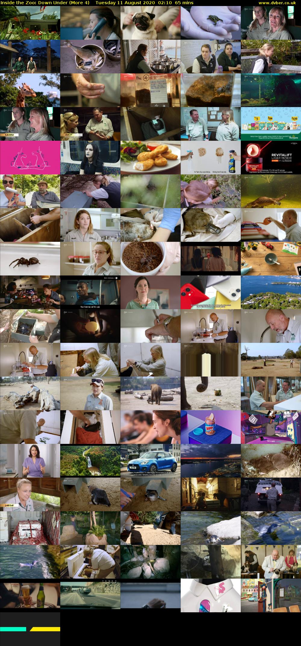Inside the Zoo: Down Under (More 4) Tuesday 11 August 2020 02:10 - 03:15