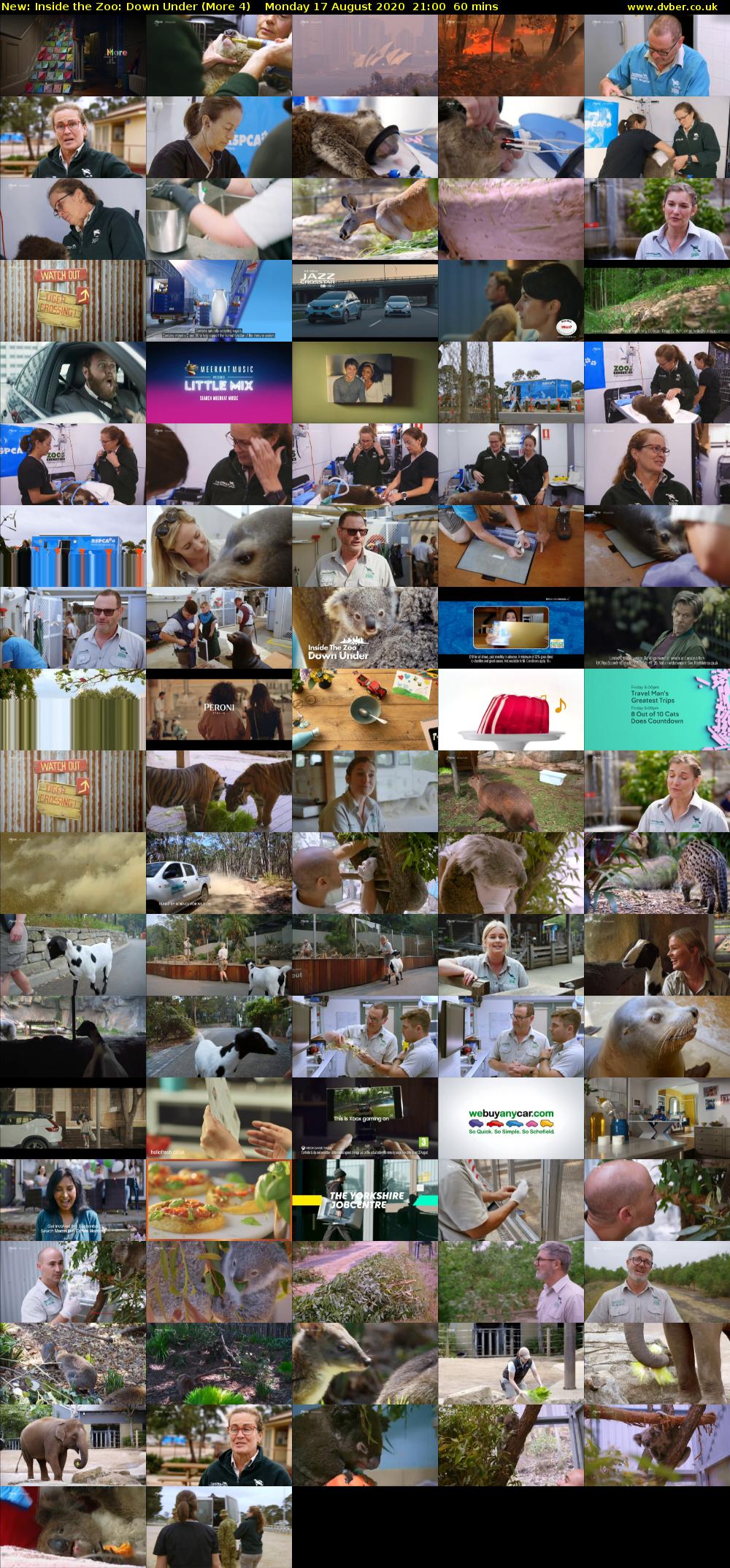 Inside the Zoo: Down Under (More 4) Monday 17 August 2020 21:00 - 22:00