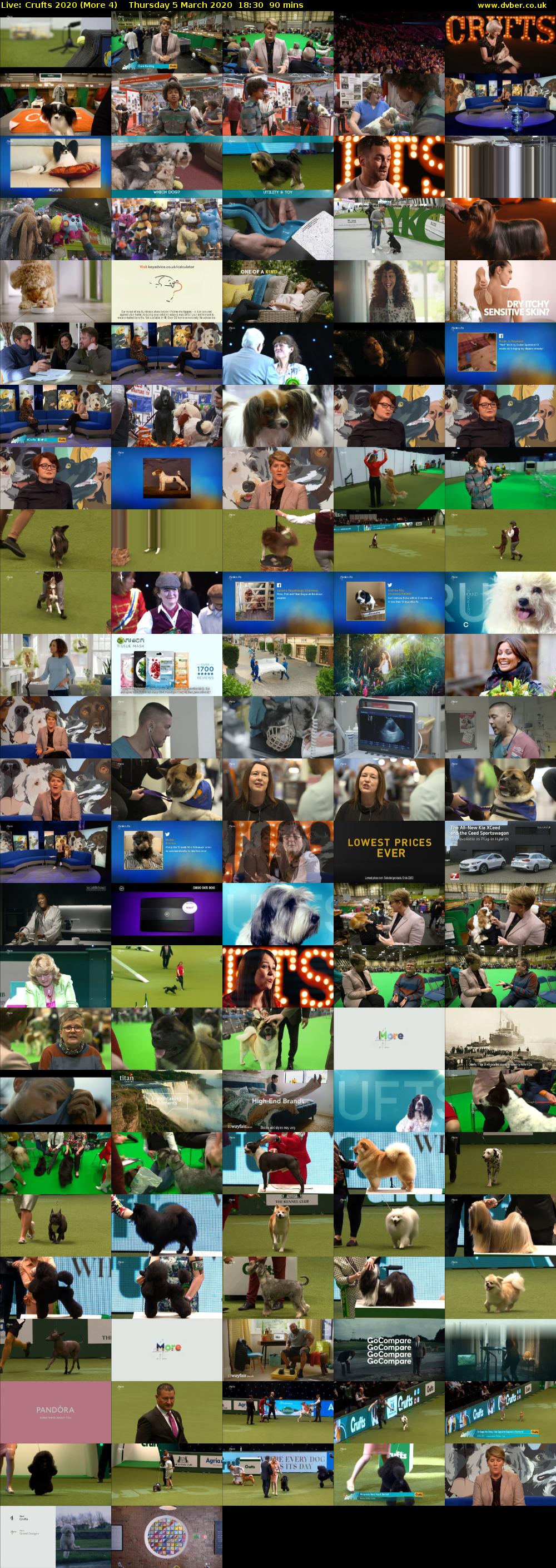 Live: Crufts 2020 (More 4) Thursday 5 March 2020 18:30 - 20:00