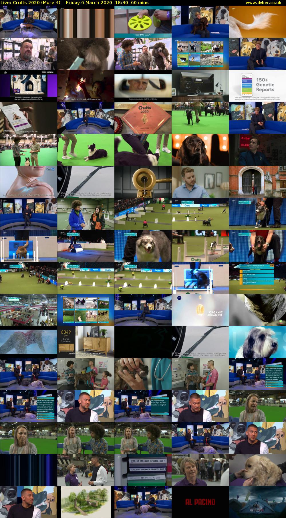 Live: Crufts 2020 (More 4) Friday 6 March 2020 18:30 - 19:30