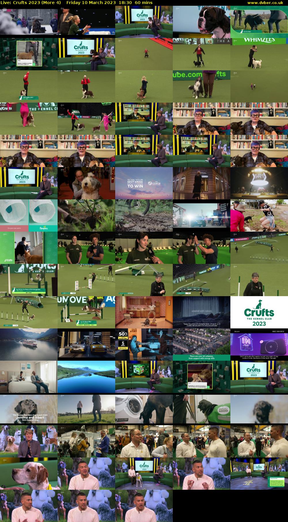 Live: Crufts 2023 (More 4) Friday 10 March 2023 18:30 - 19:30