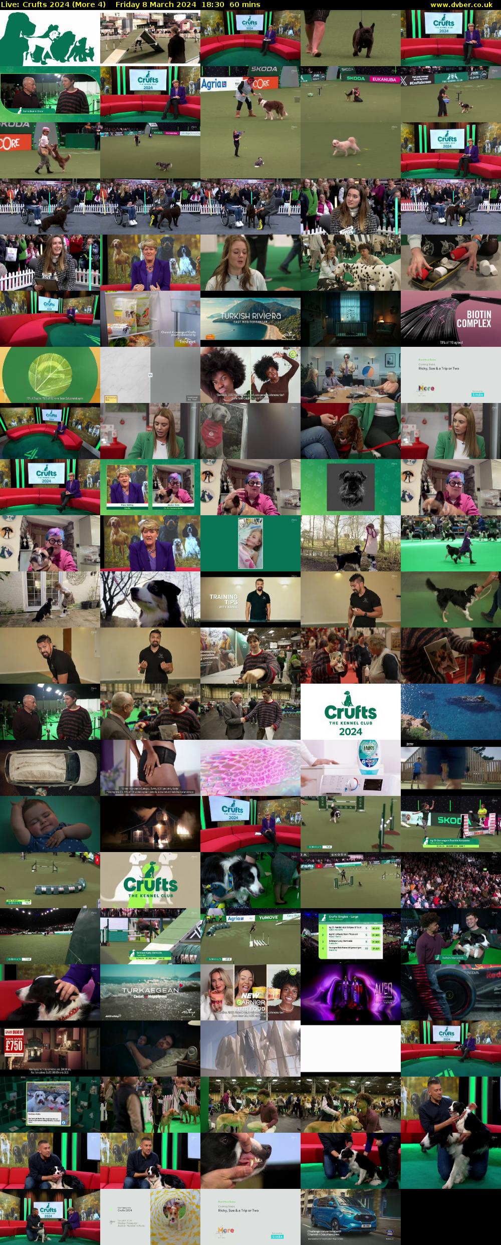 Live: Crufts 2024 (More 4) Friday 8 March 2024 18:30 - 19:30