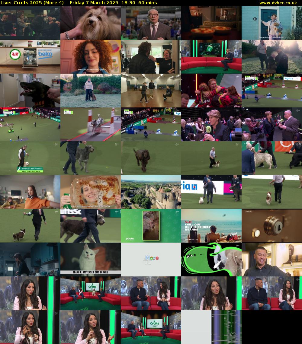 Live: Crufts 2025 (More 4) Friday 7 March 2025 18:30 - 19:30
