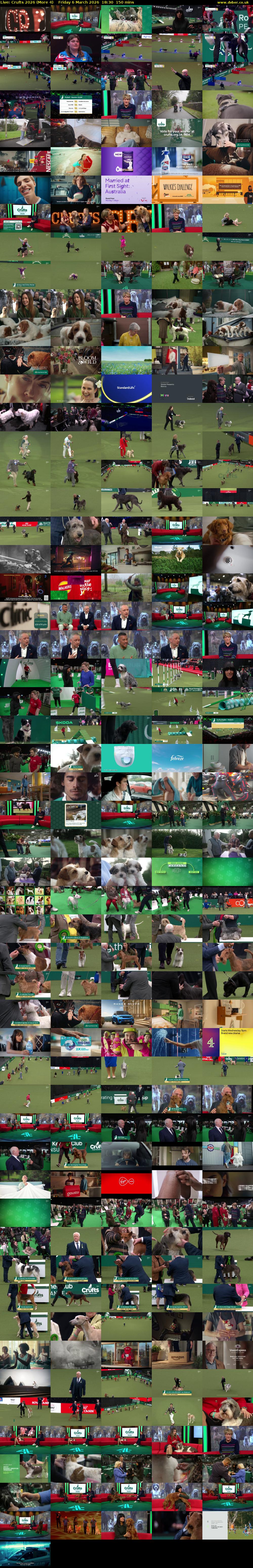 Live: Crufts 2026 (More 4) Friday 6 March 2026 18:30 - 21:00
