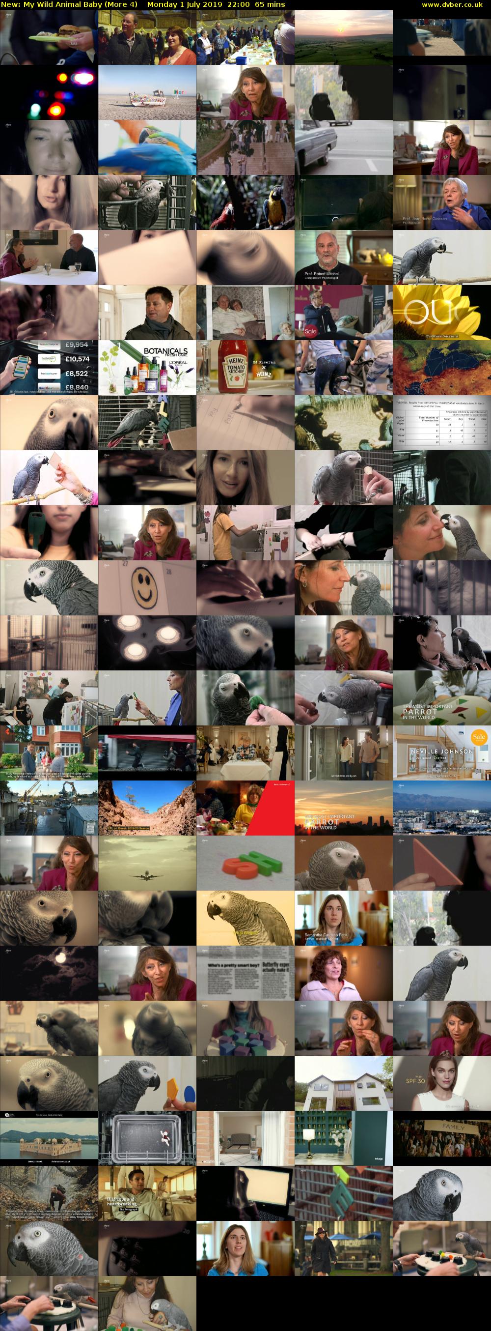 My Wild Animal Baby (More 4) Monday 1 July 2019 22:00 - 23:05
