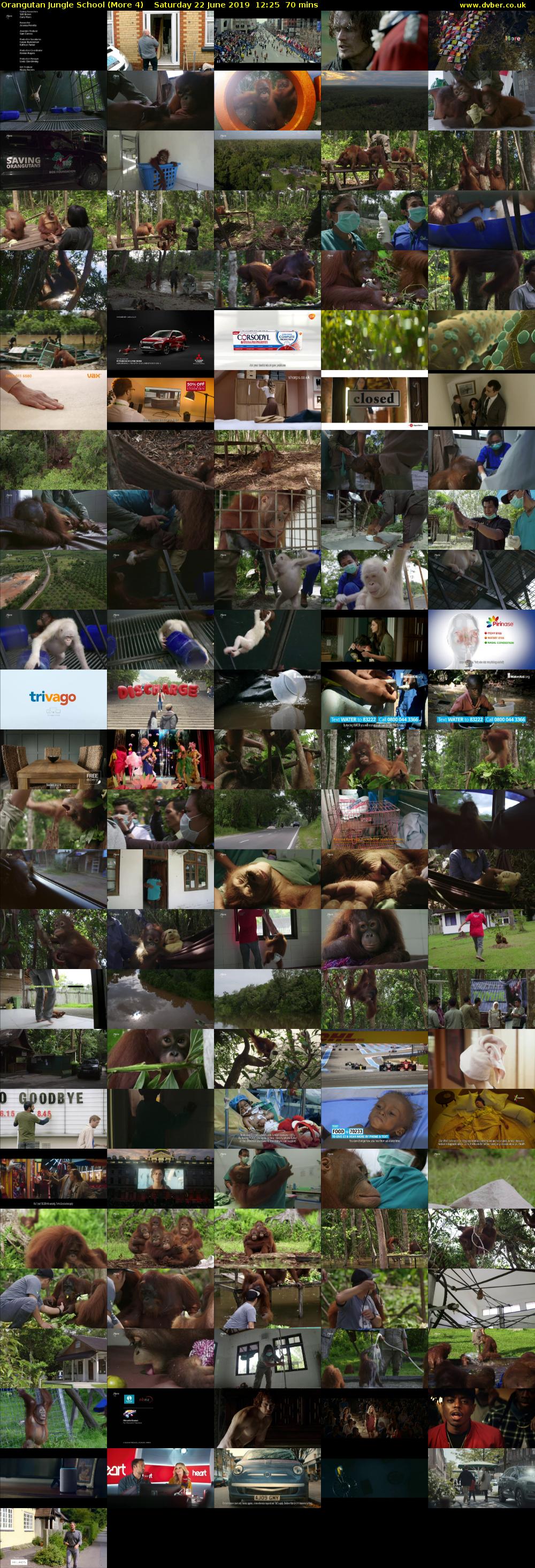 Orangutan Jungle School (More 4) Saturday 22 June 2019 12:25 - 13:35