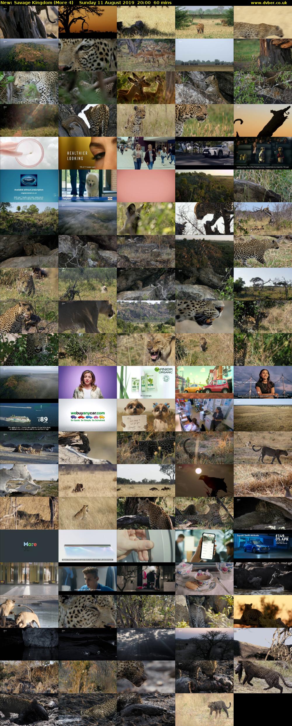 Savage Kingdom (More 4) Sunday 11 August 2019 20:00 - 21:00