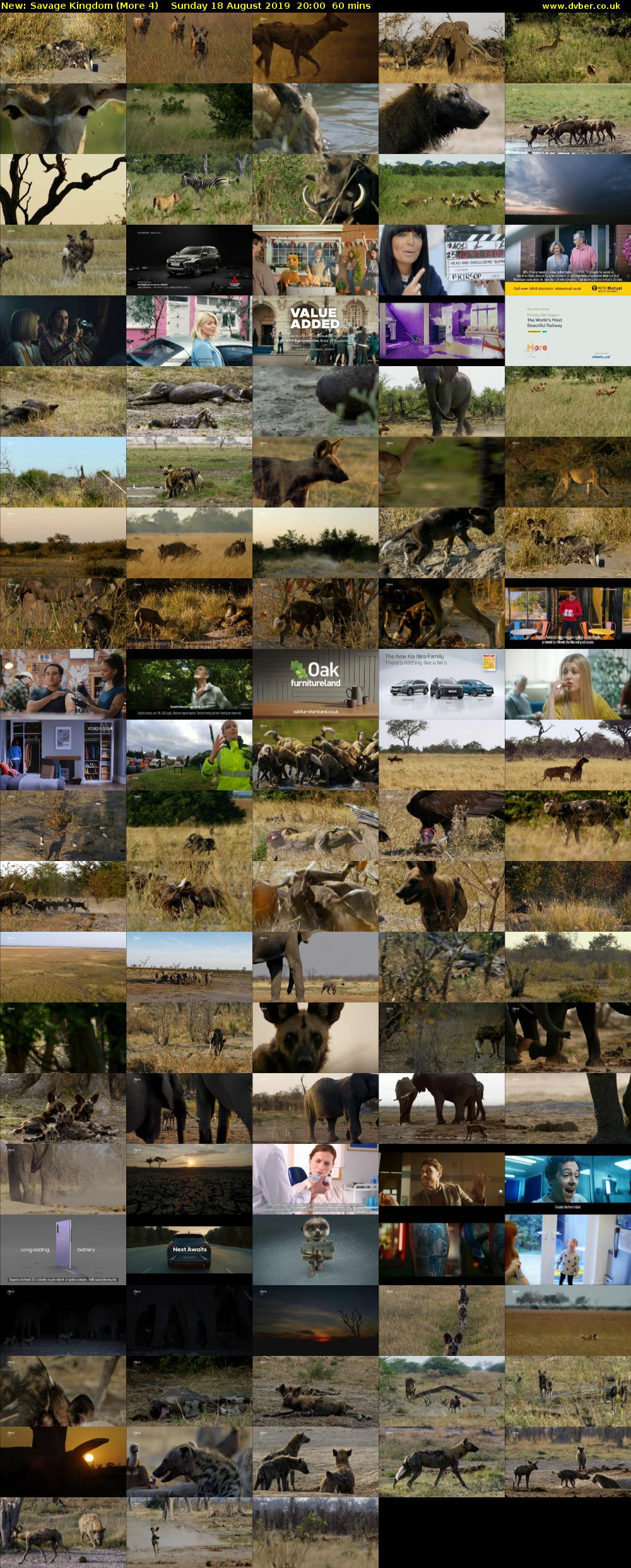 Savage Kingdom (More 4) Sunday 18 August 2019 20:00 - 21:00