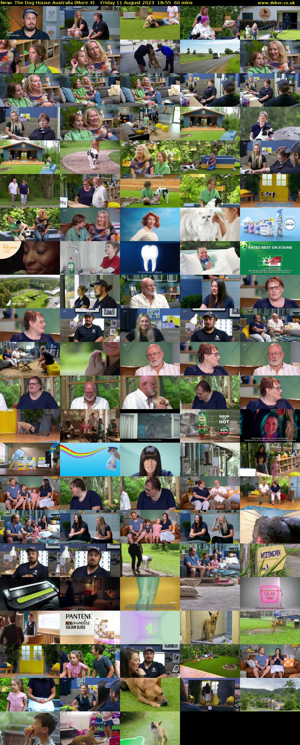 The Dog House Australia (More 4) Friday 11 August 2023 18:55 - 19:55