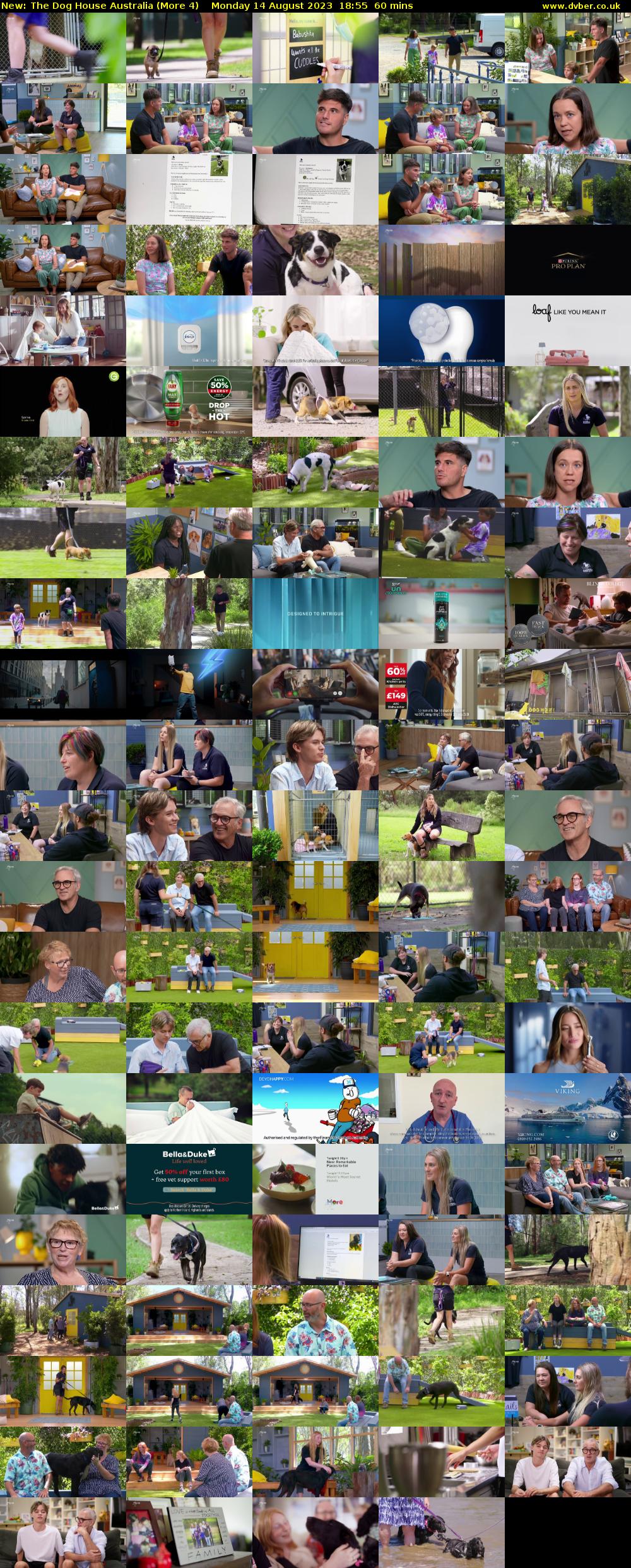 The Dog House Australia (More 4) Monday 14 August 2023 18:55 - 19:55