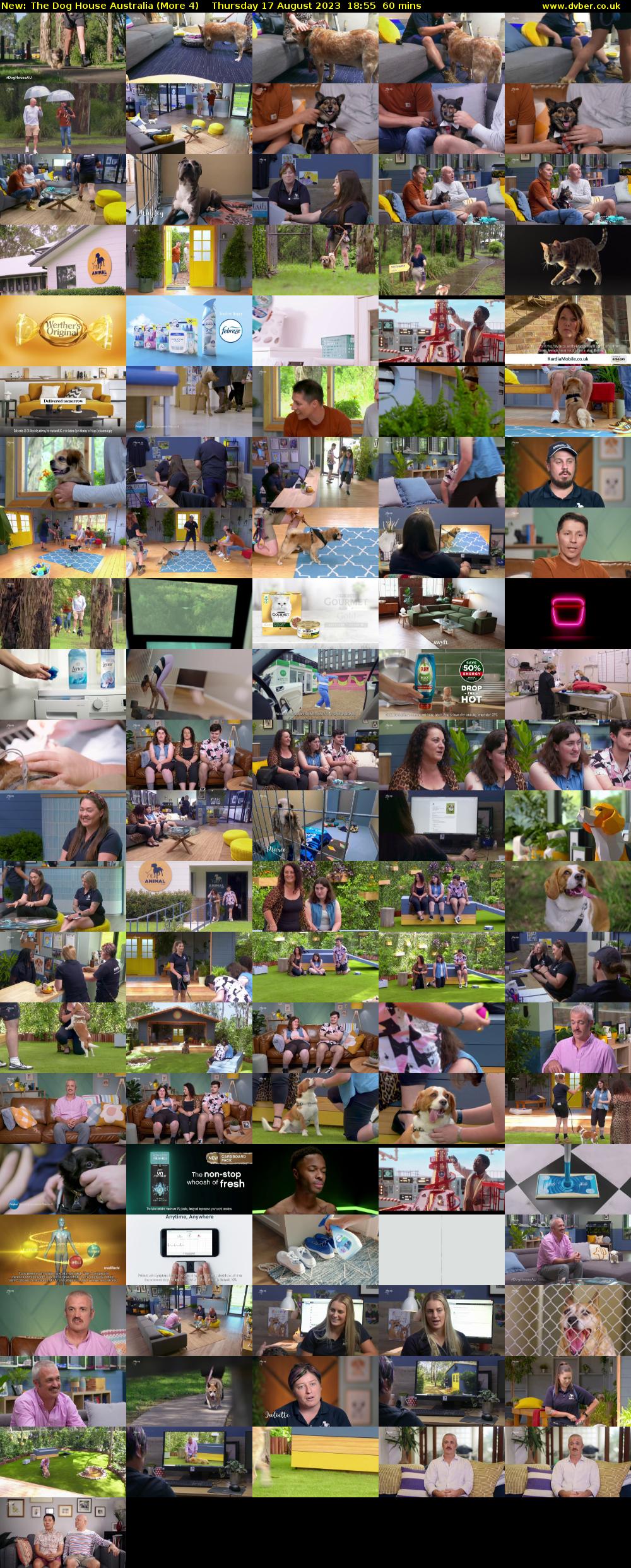 The Dog House Australia (More 4) Thursday 17 August 2023 18:55 - 19:55
