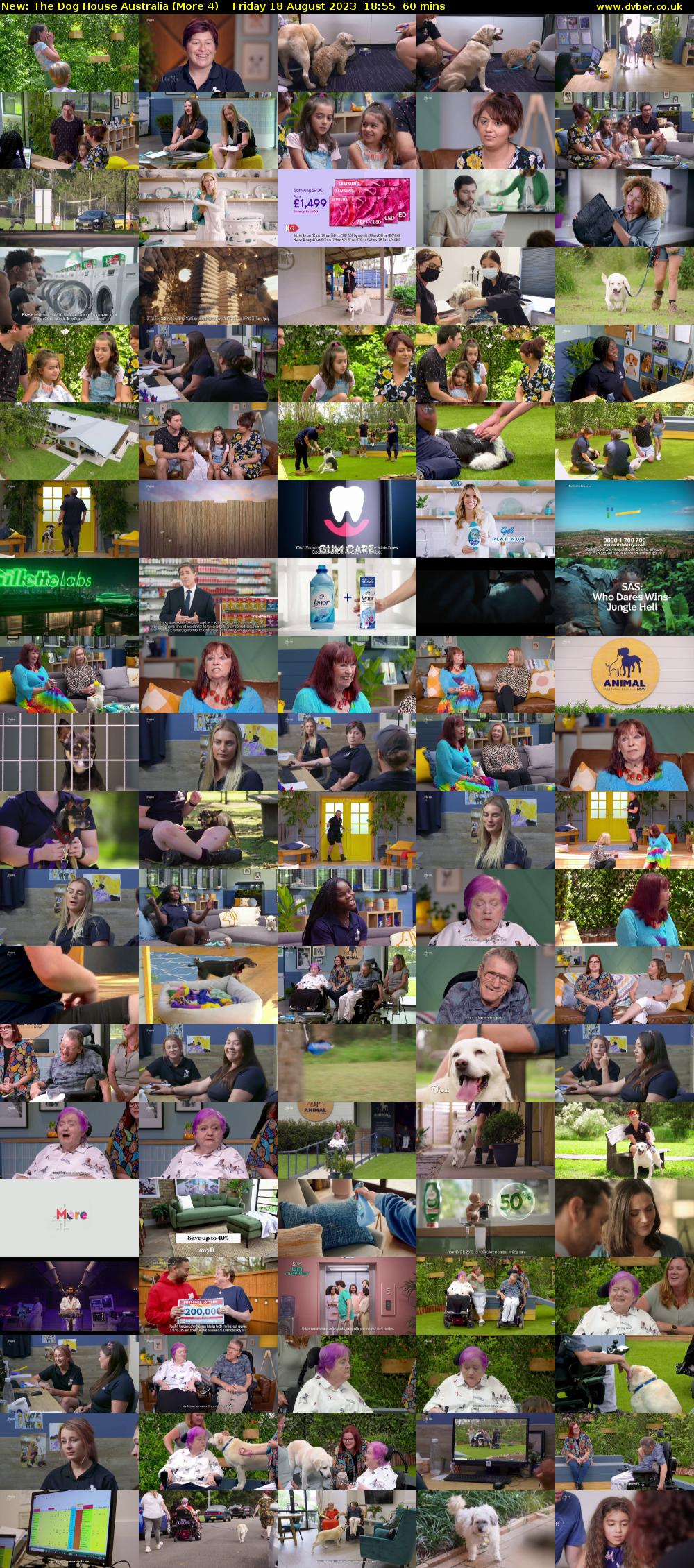The Dog House Australia (More 4) Friday 18 August 2023 18:55 - 19:55