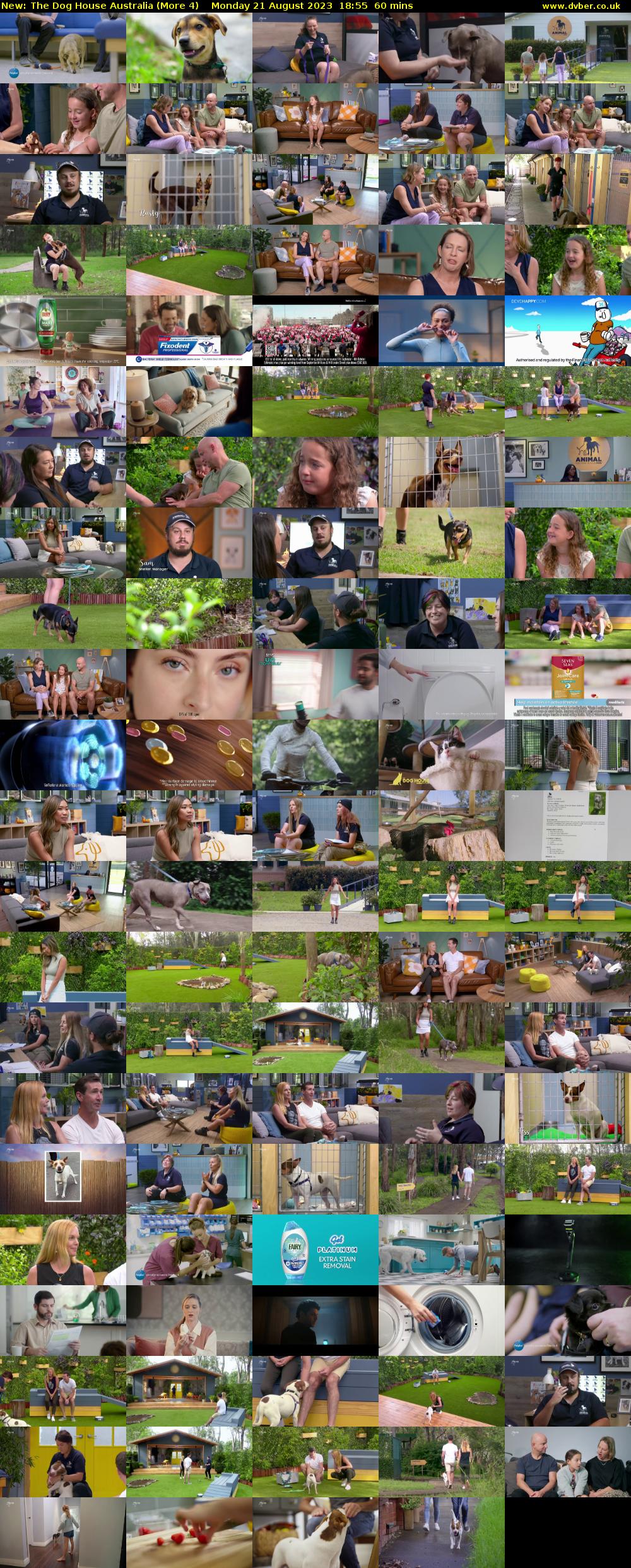 The Dog House Australia (More 4) Monday 21 August 2023 18:55 - 19:55