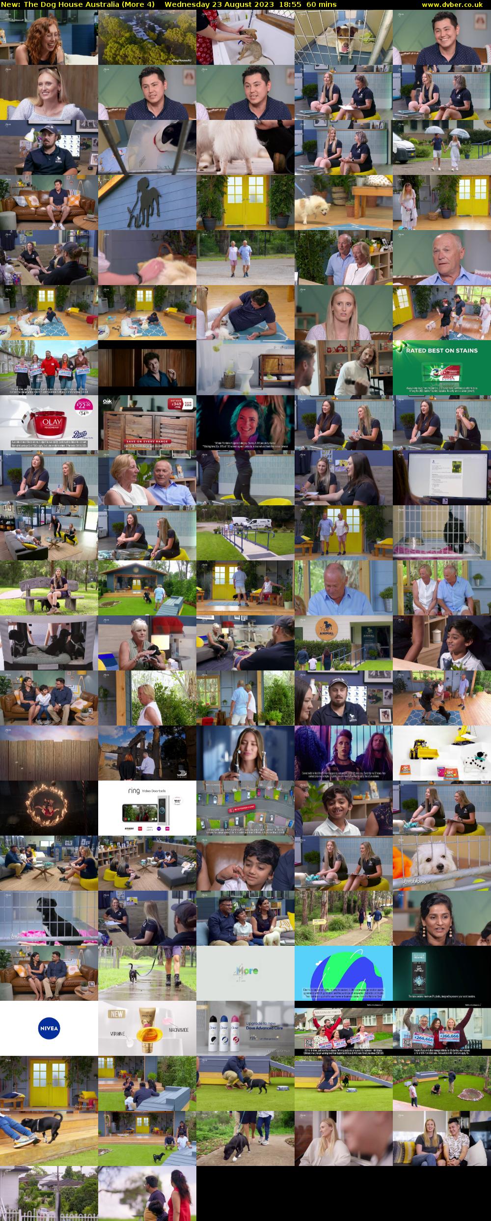The Dog House Australia (More 4) Wednesday 23 August 2023 18:55 - 19:55