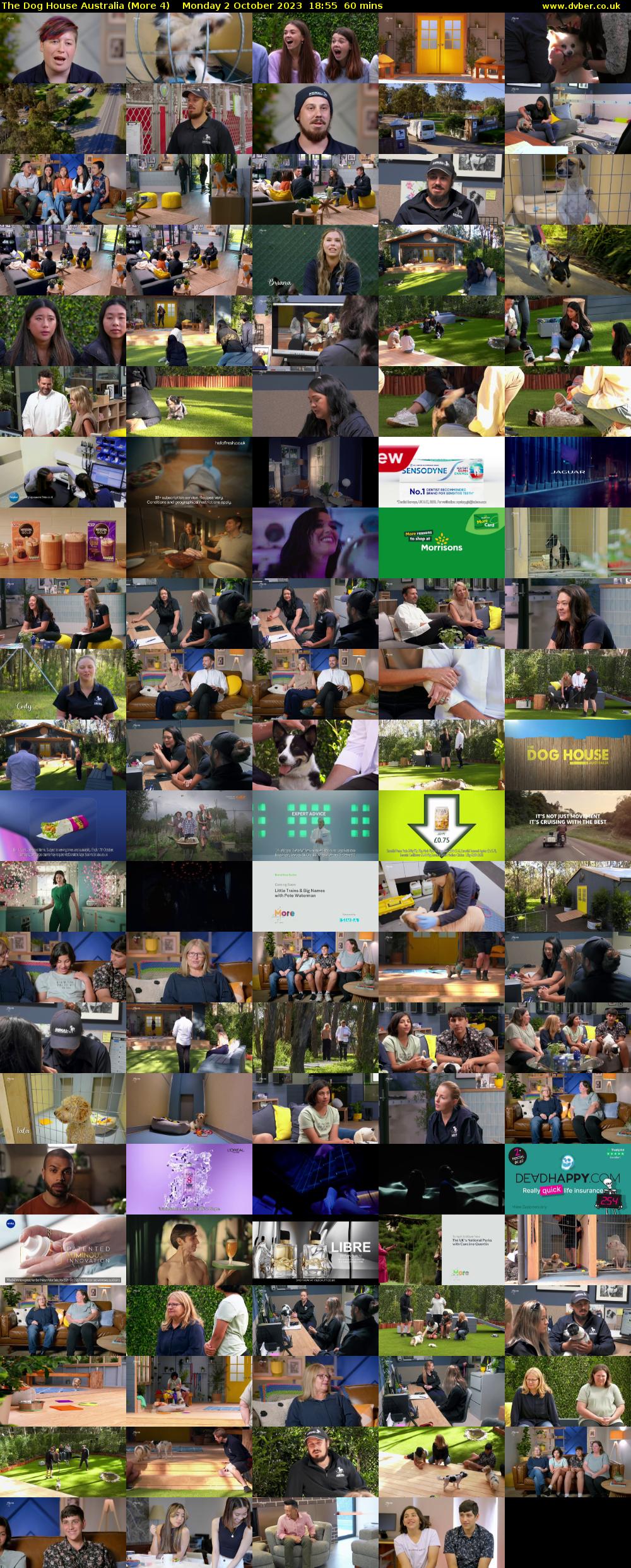 The Dog House Australia (More 4) Monday 2 October 2023 18:55 - 19:55
