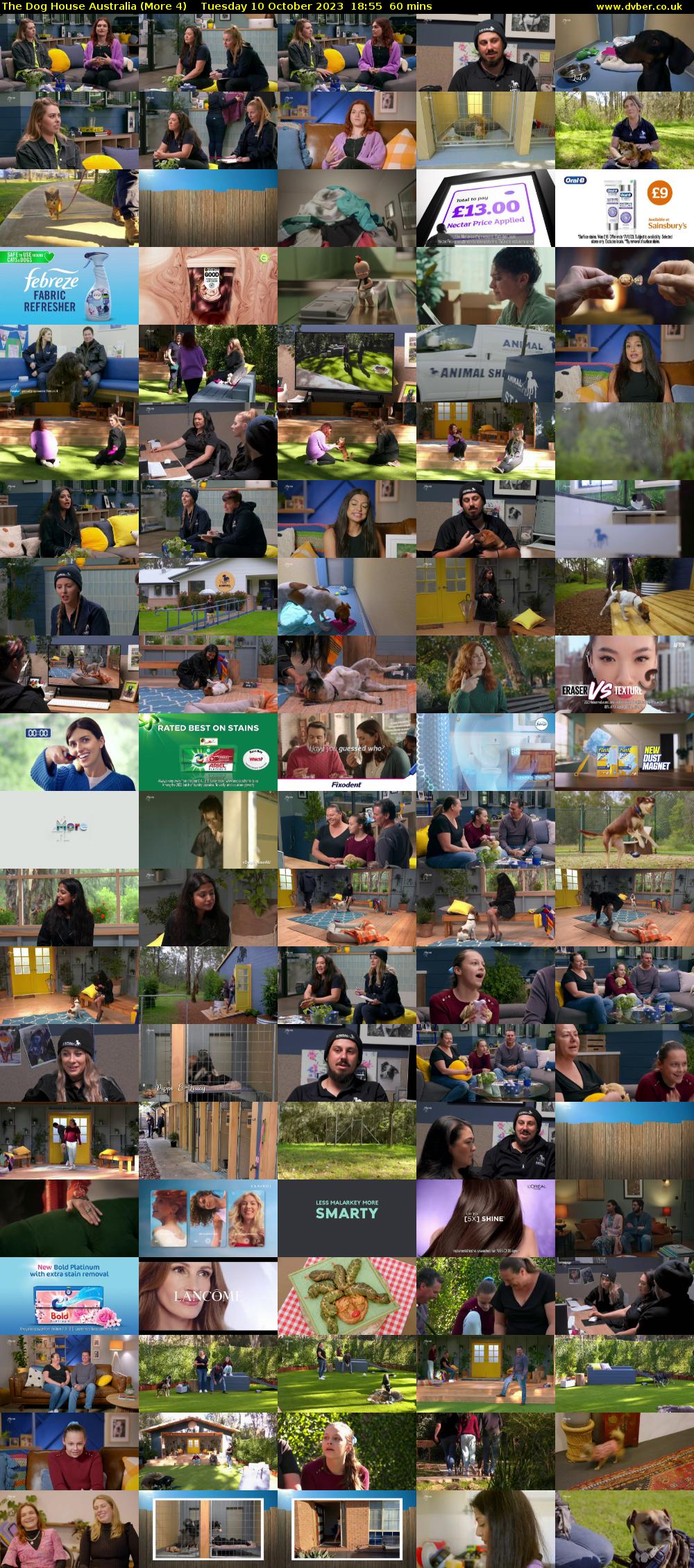 The Dog House Australia (More 4) Tuesday 10 October 2023 18:55 - 19:55