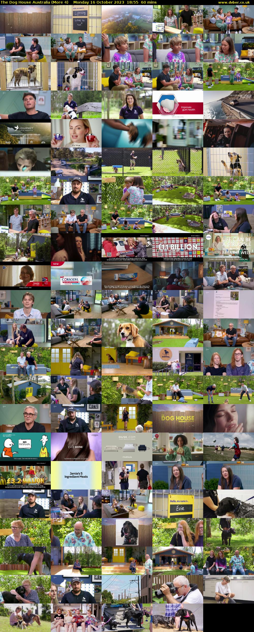 The Dog House Australia (More 4) Monday 16 October 2023 18:55 - 19:55