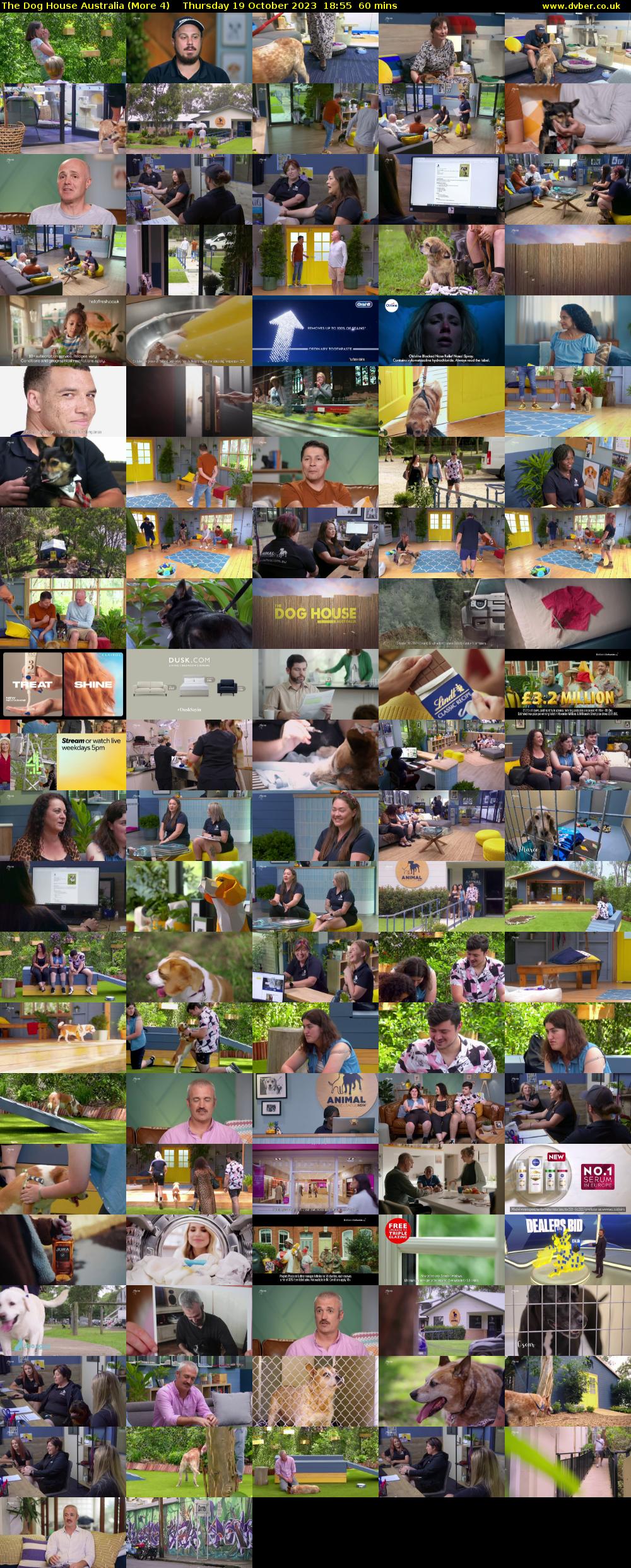 The Dog House Australia (More 4) Thursday 19 October 2023 18:55 - 19:55